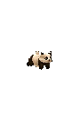 熊猫